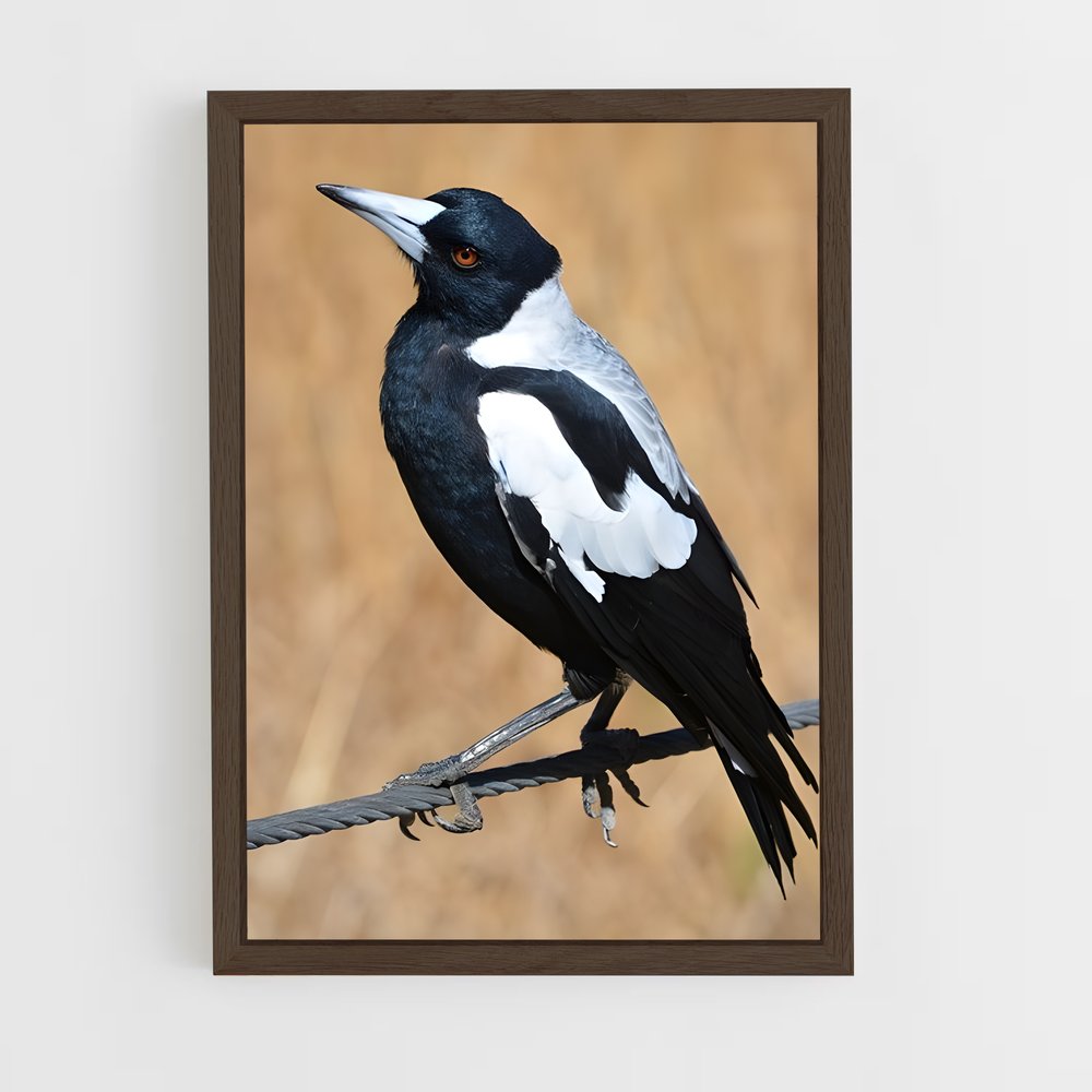 ap-magpie-4 cadre Bois foncé