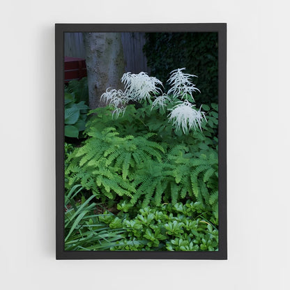 ap-maidenhair fern-4 cadre Noir