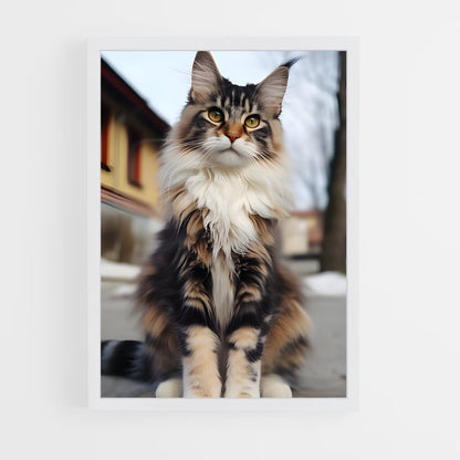 ap-maine coon-2 cadre Blanc