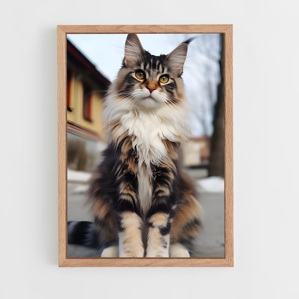 ap-maine coon-2 cadre Bois clair