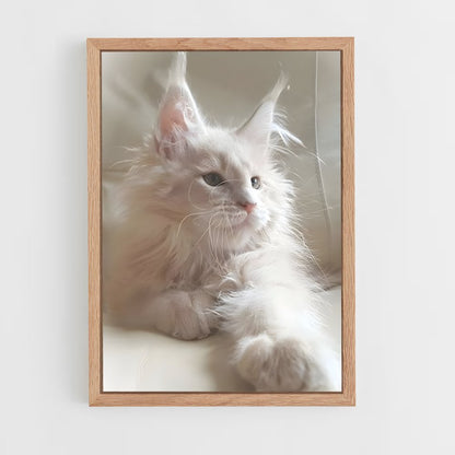 ap-maine coon-5 cadre Bois clair