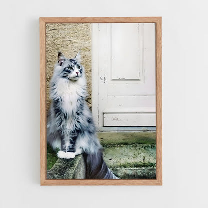 ap-maine coon-7 cadre Bois clair