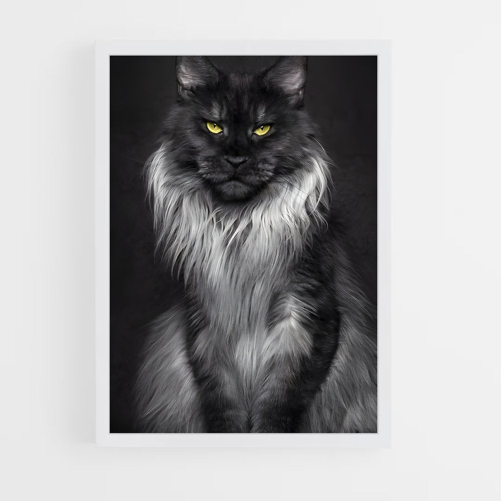 ap-maine coon-8 cadre Blanc