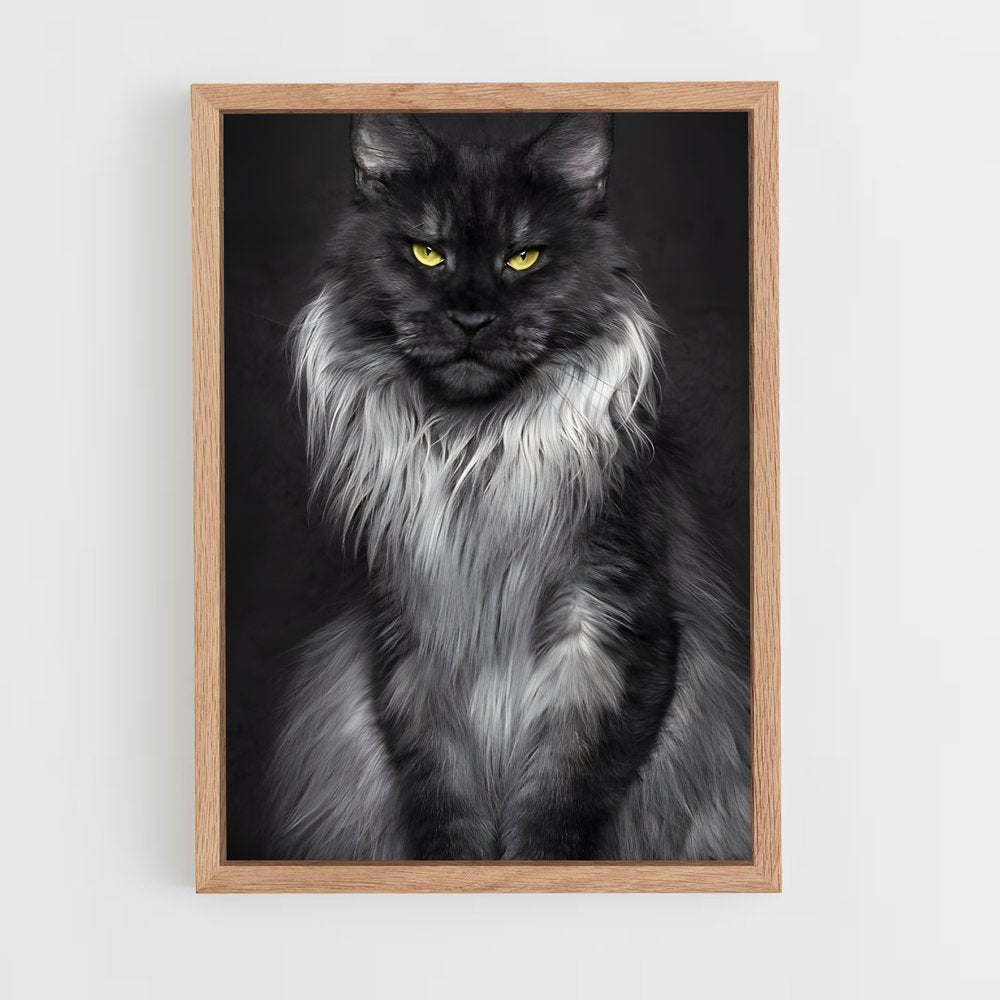 ap-maine coon-8 cadre Bois clair
