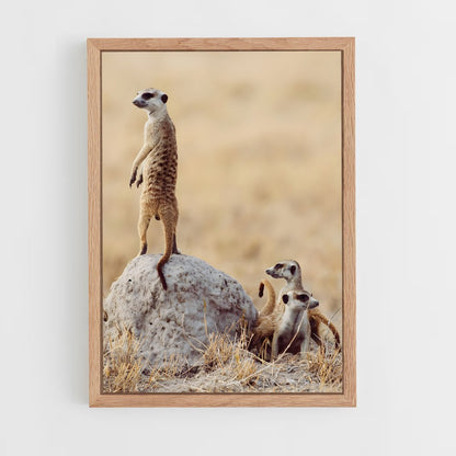 ap-makgadikgadi pans-8 cadre Bois clair