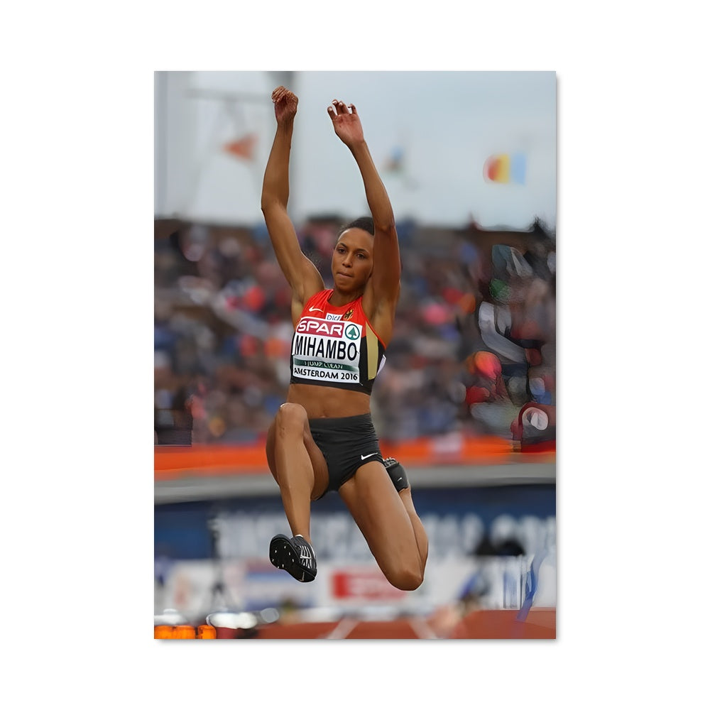 Poster Saut Vers L'Inconnu