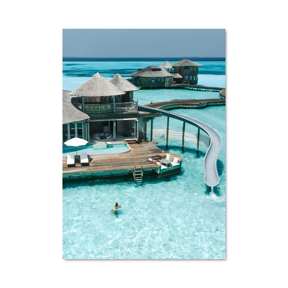 Poster Glissade Tropicale