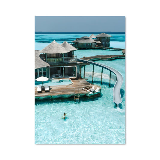 Poster Glissade Tropicale