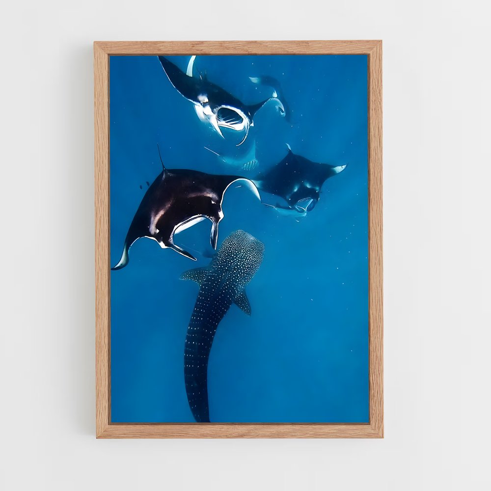 ap-maldives diving-1 cadre Bois clair