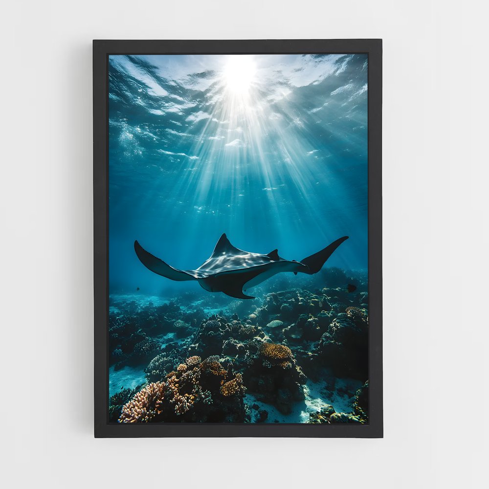 ap-maldives diving-10 cadre Noir