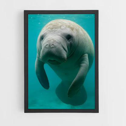 ap-manatee-2 cadre Noir