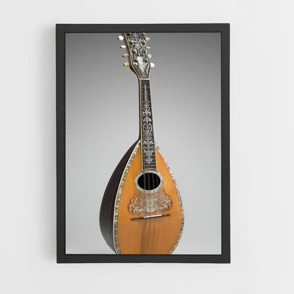 ap-mandolin-1 cadre Noir