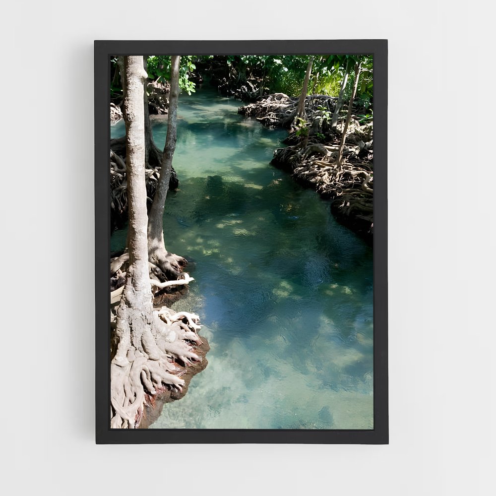 ap-mangrove-11 cadre Noir