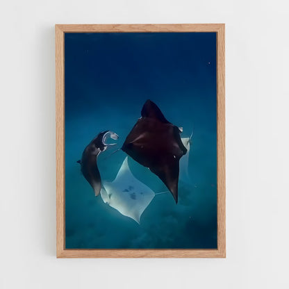 ap-manta ray-2 cadre Bois clair