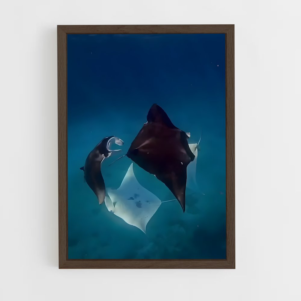 ap-manta ray-2 cadre Bois foncé