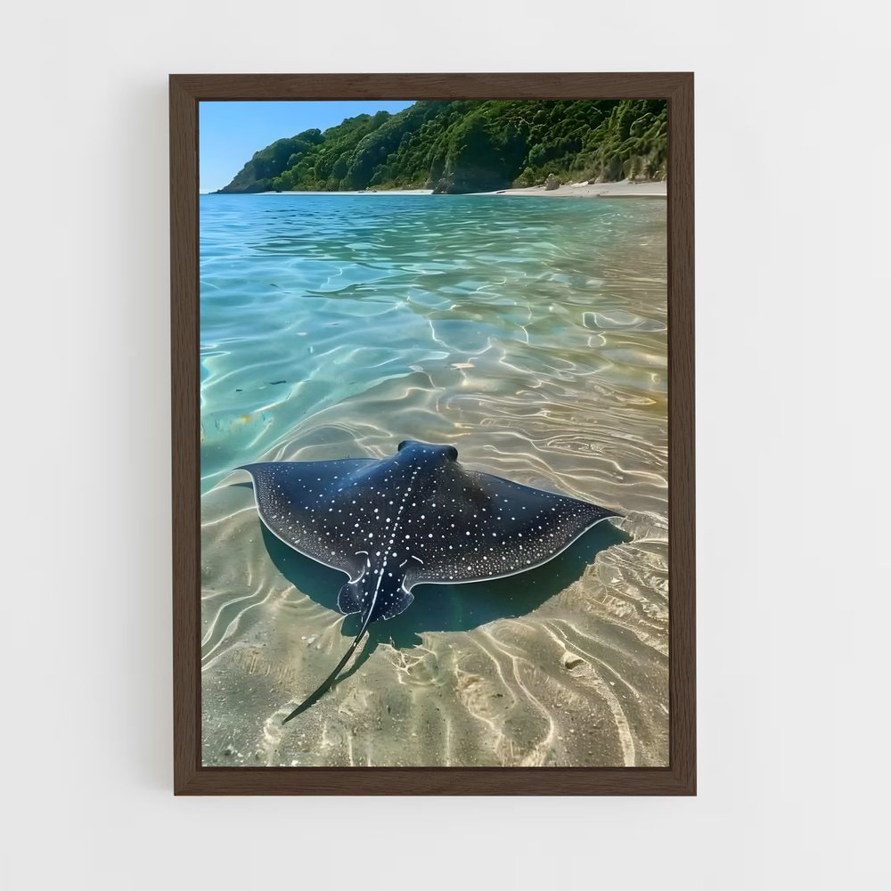 ap-manta ray-6 cadre Bois foncé