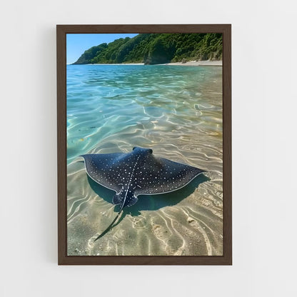 ap-manta ray-6 cadre Bois foncé