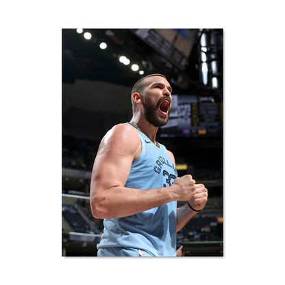 Poster Marc gasol 59887