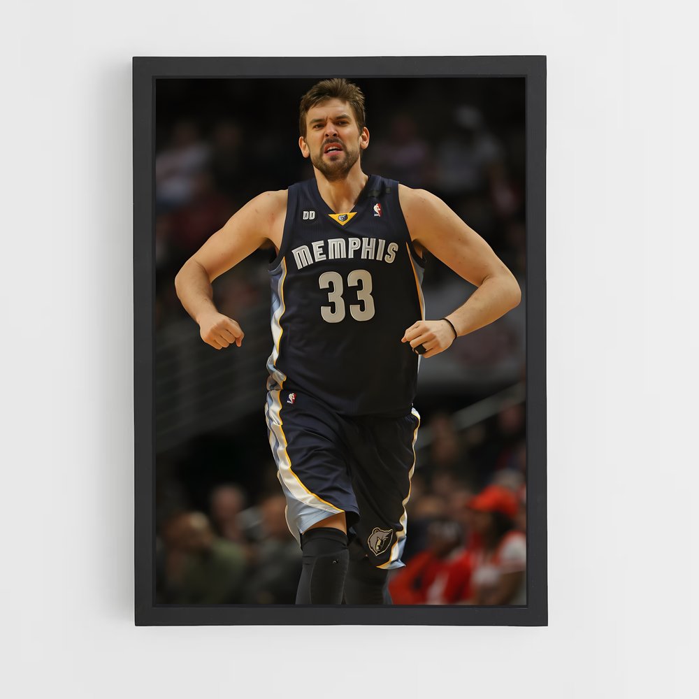 ap-marc gasol-1 cadre Noir