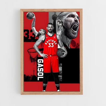 ap-marc gasol-4 cadre Bois clair