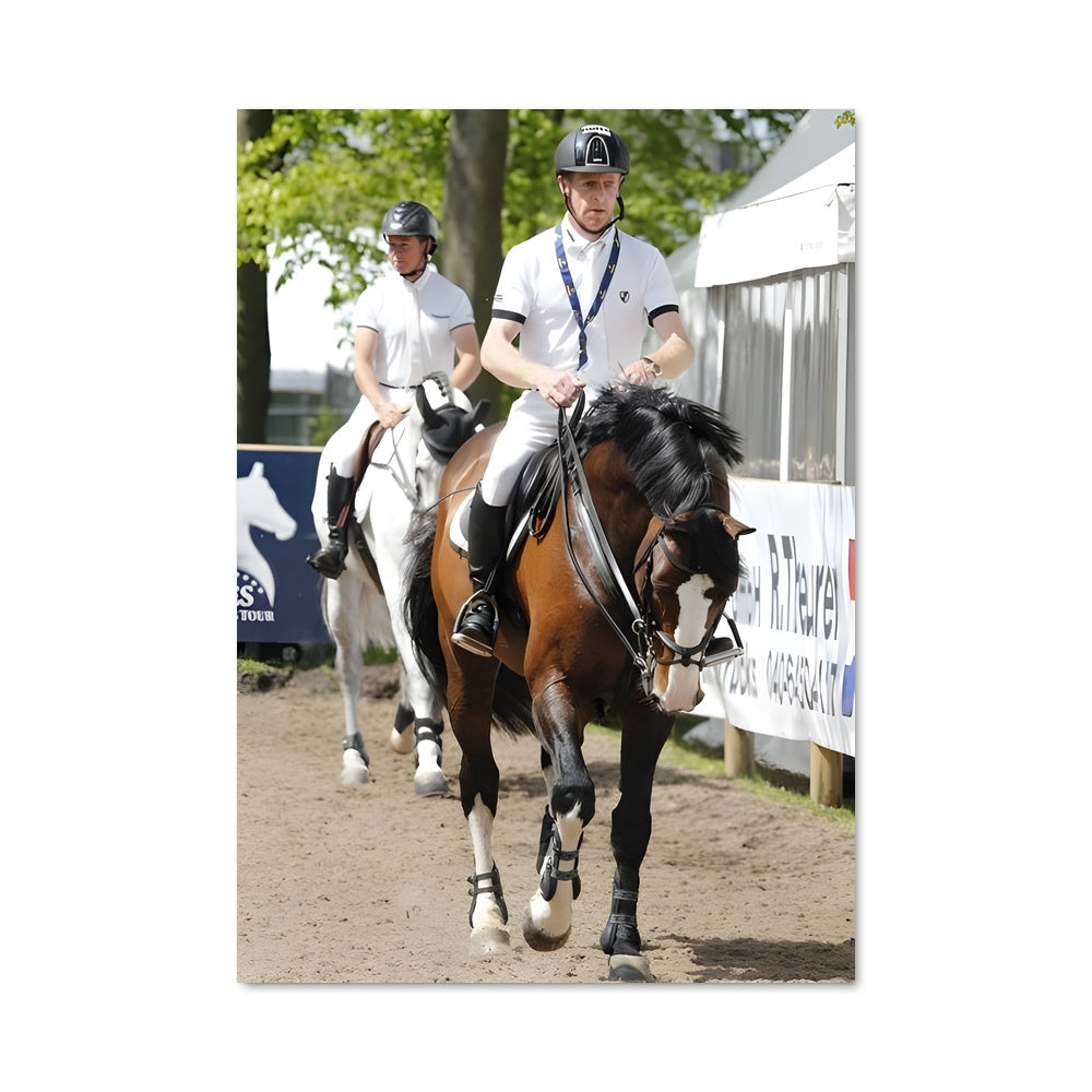 Poster Marcus ehning 67375