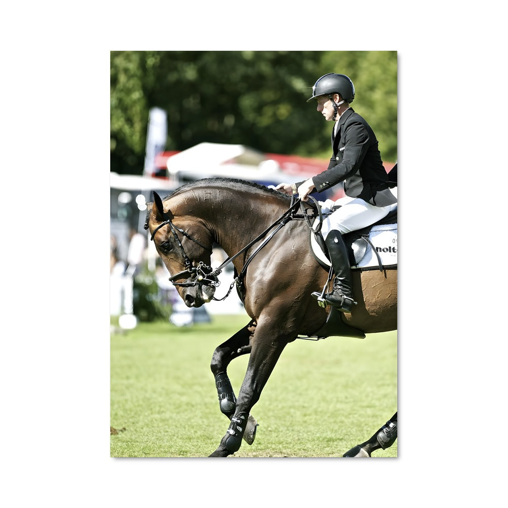 Poster Marcus ehning 67380