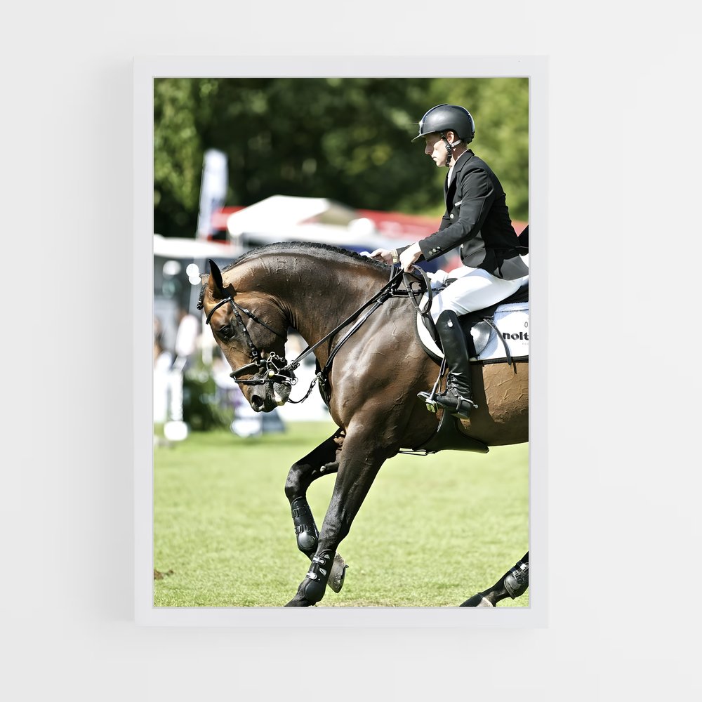 ap-marcus ehning-9 cadre Blanc