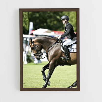 ap-marcus ehning-9 cadre Bois foncé