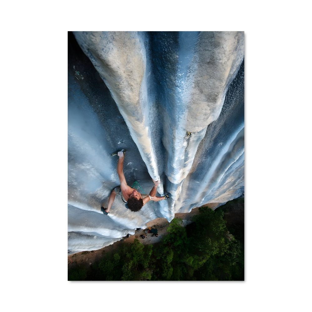 Poster Verticalité Sauvage