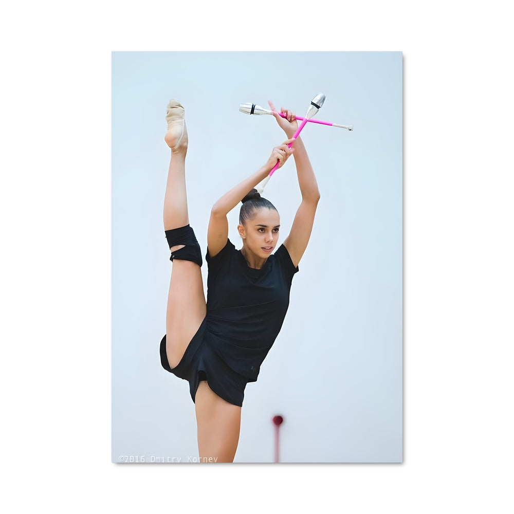 Poster Skate et Gracieuseté
