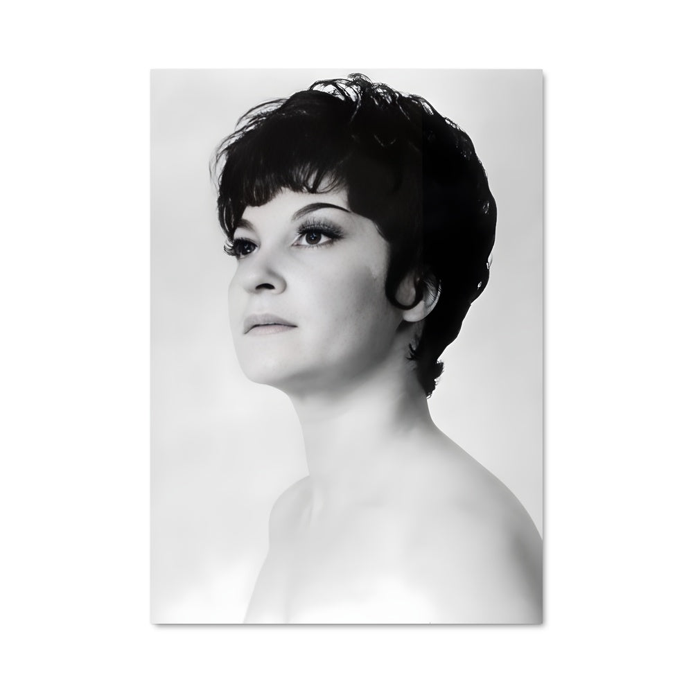 Poster Maria nieves 66112