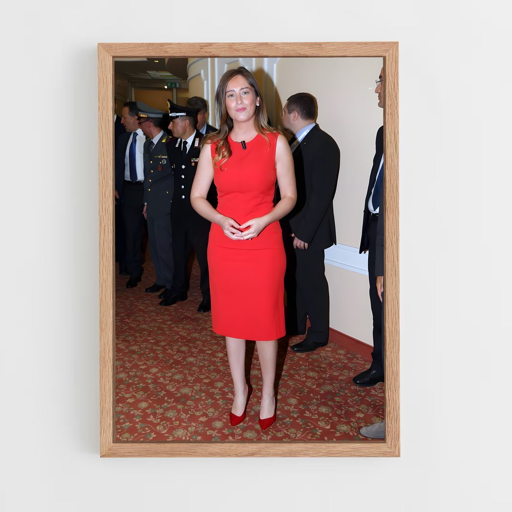 ap-maria elena boschi-9 cadre Bois clair