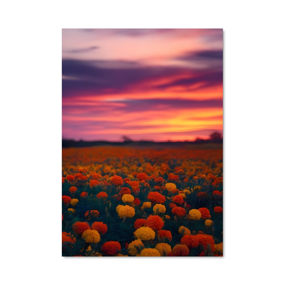 Poster Champ de Coucher de Soleil