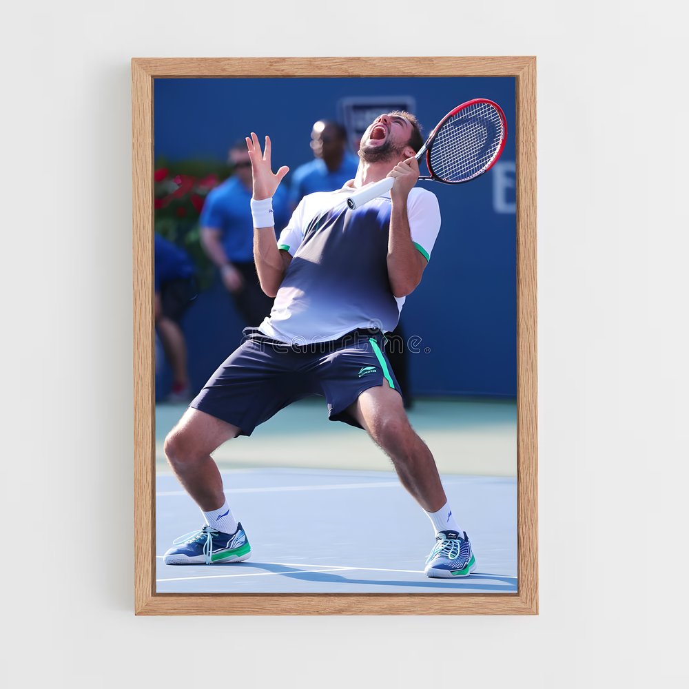 ap-marin cilic-4 cadre Bois clair