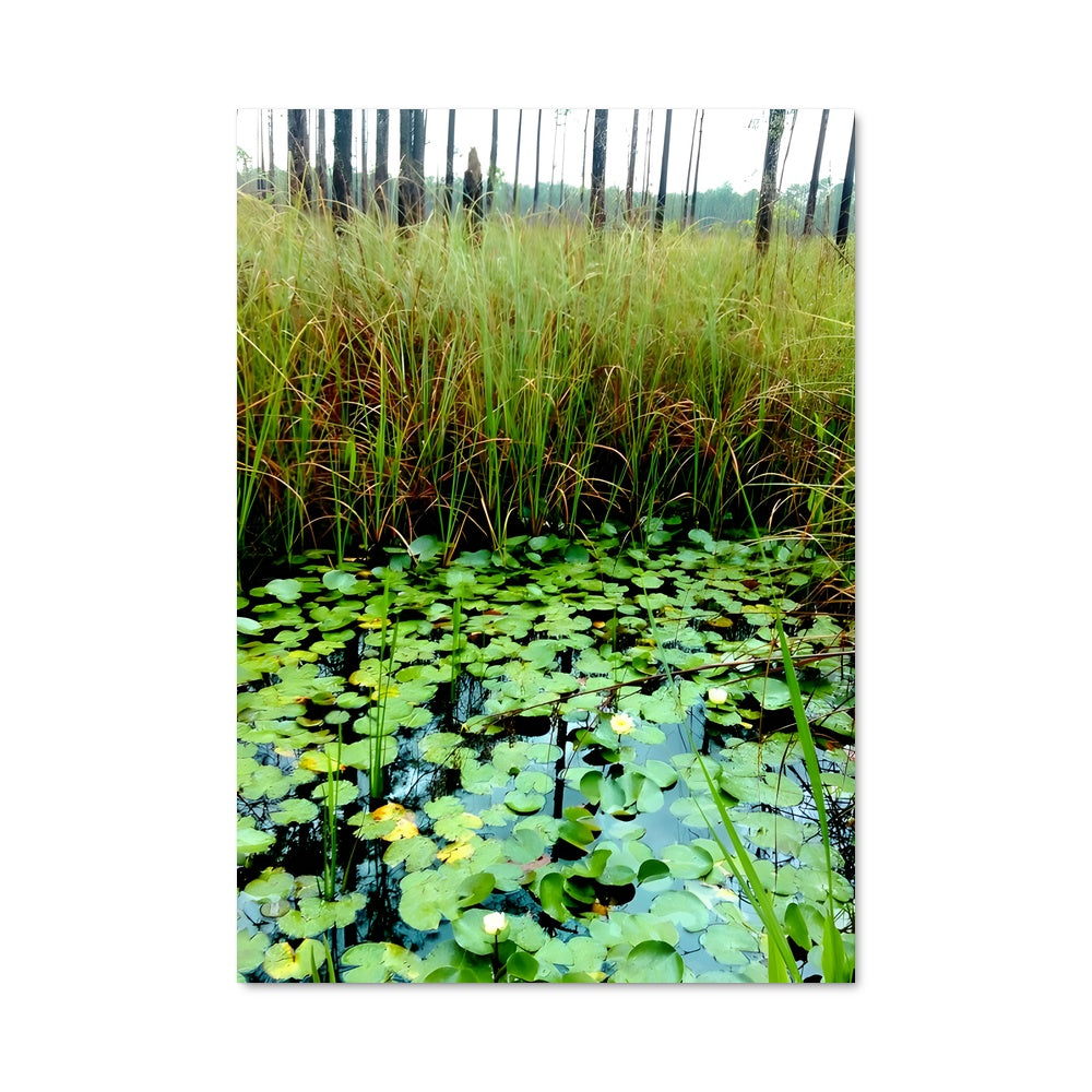 Poster Sérénité du Marais