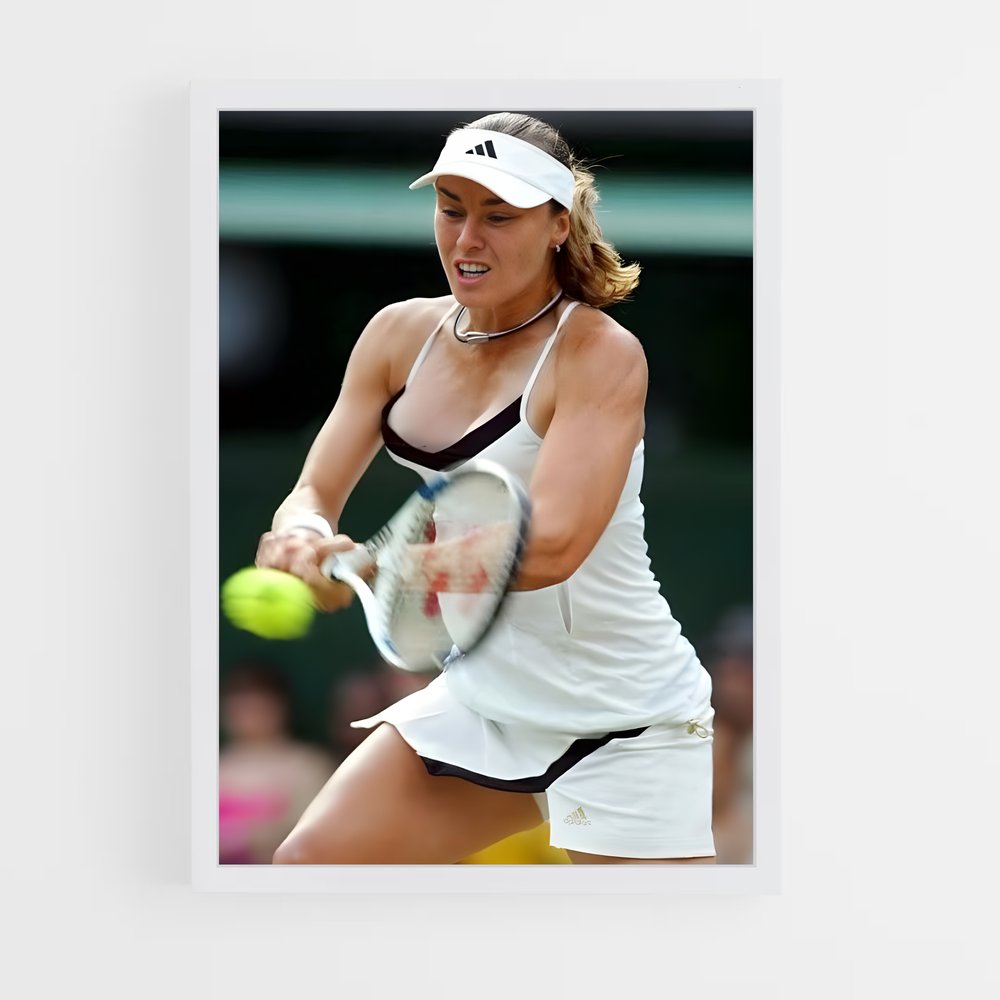 ap-martina hingis-7 cadre Blanc