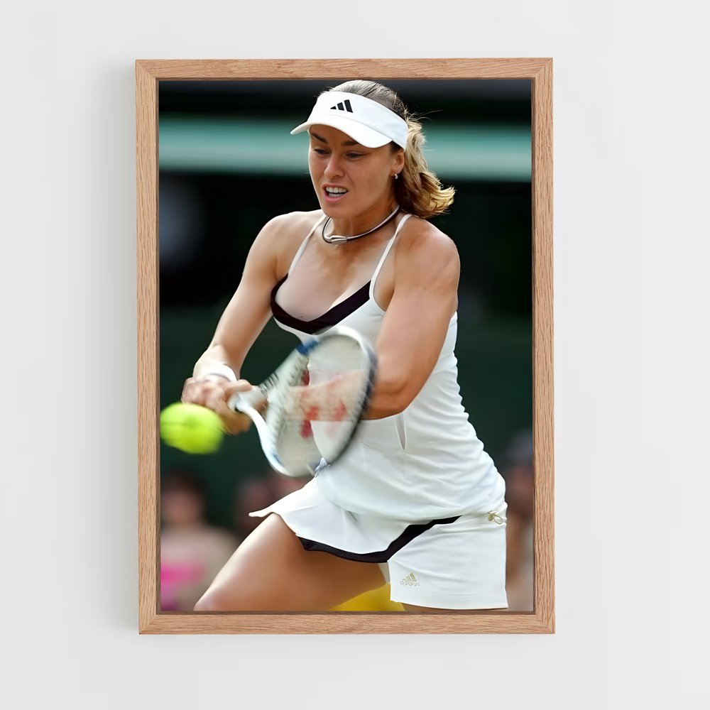 ap-martina hingis-7 cadre Bois clair