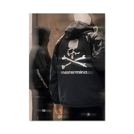Poster Skulls & Style