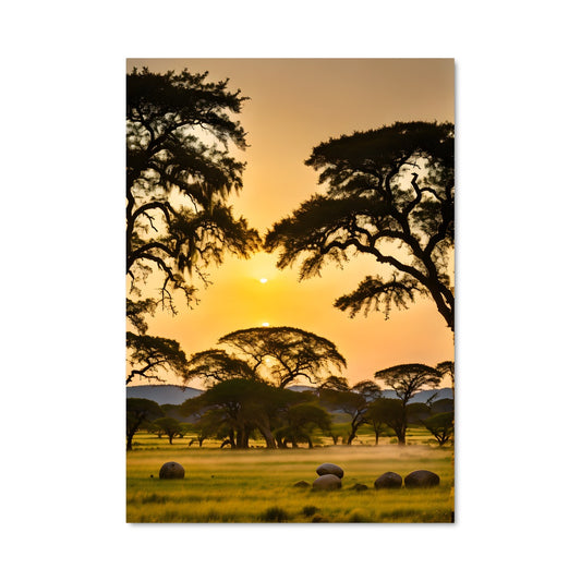 Poster Ciel Incandescent