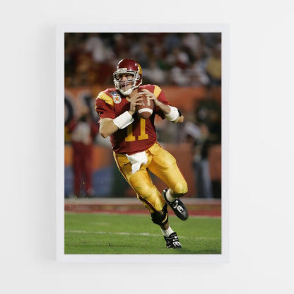 ap-matt leinart-2 cadre Blanc