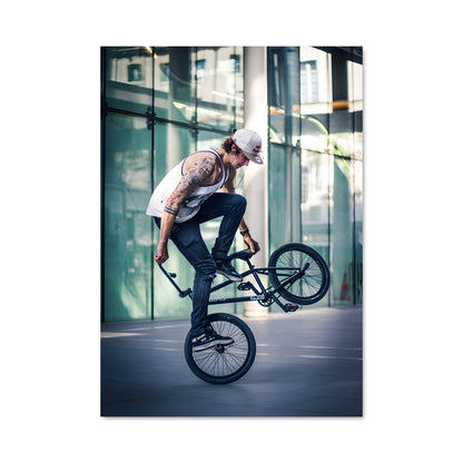 Poster Trickster à Vélo
