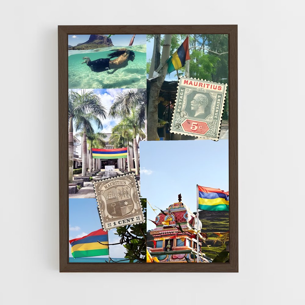 ap-mauritius flag-1 cadre Bois foncé
