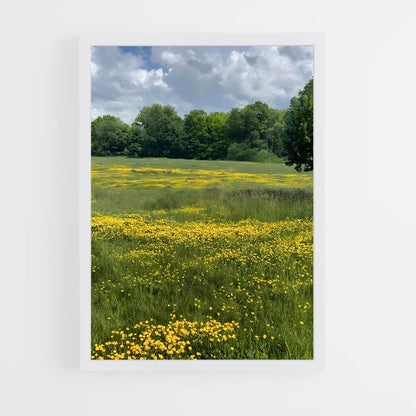 ap-meadow-3 cadre Blanc