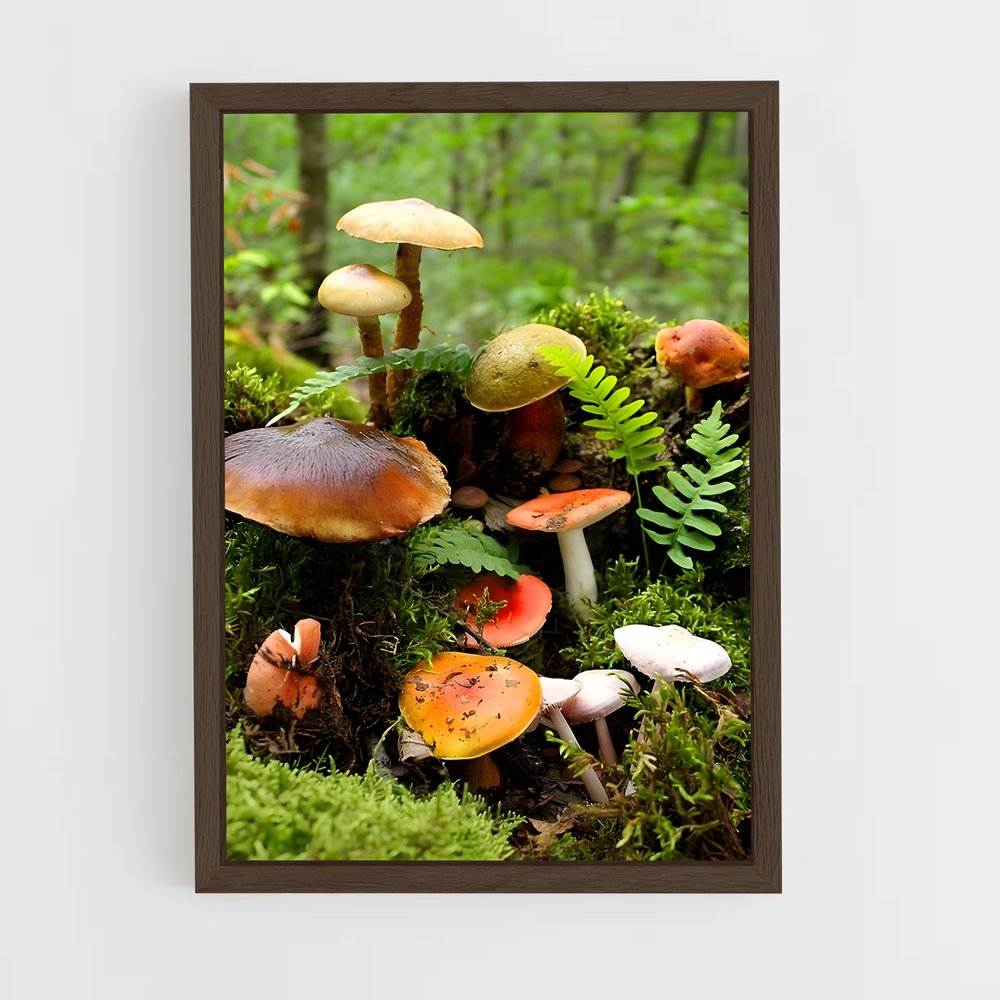 ap-meadow mushroom-5 cadre Bois foncé