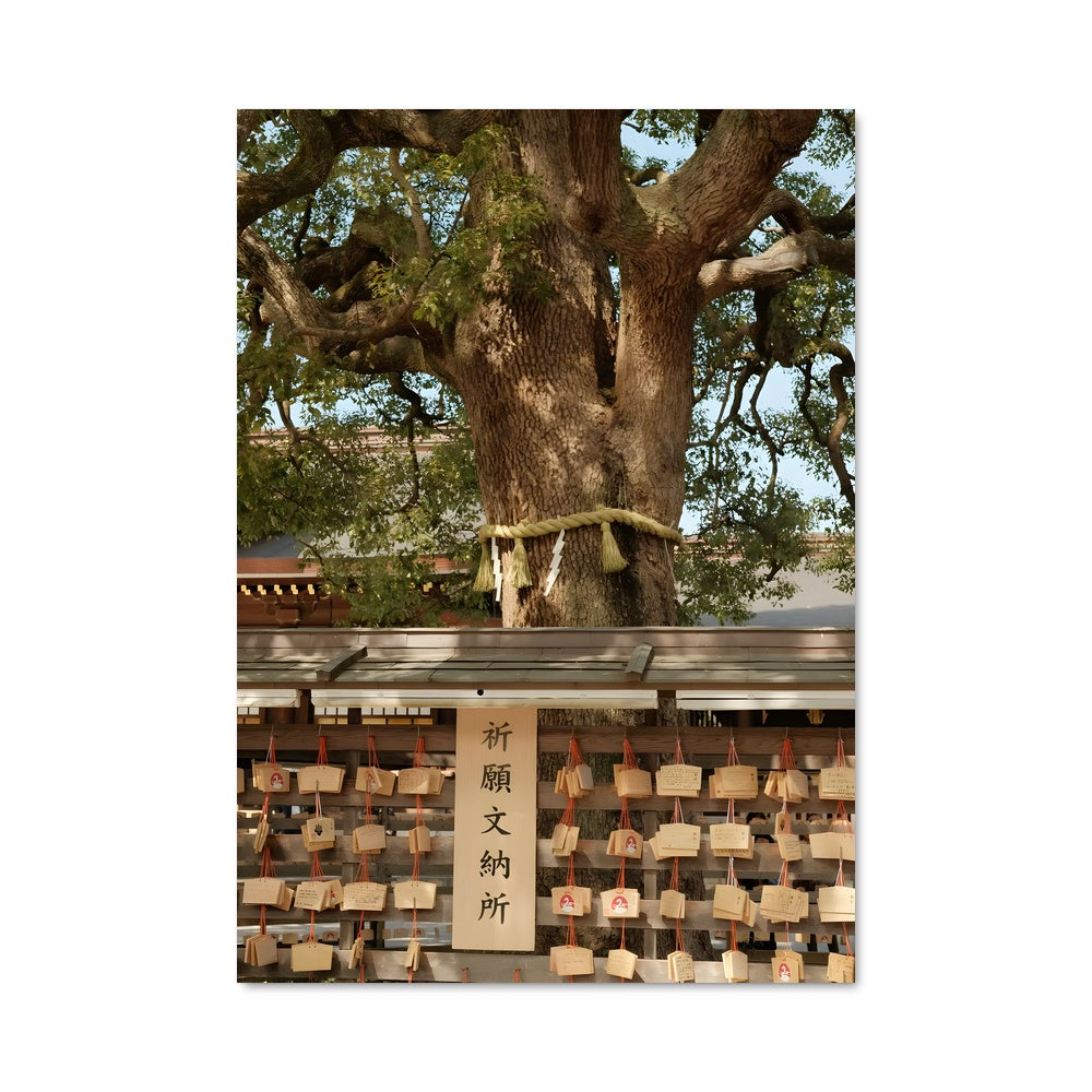 Poster L'Arbre de la Sérénité