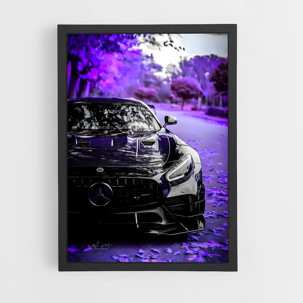 ap-mercedes-3 cadre Noir