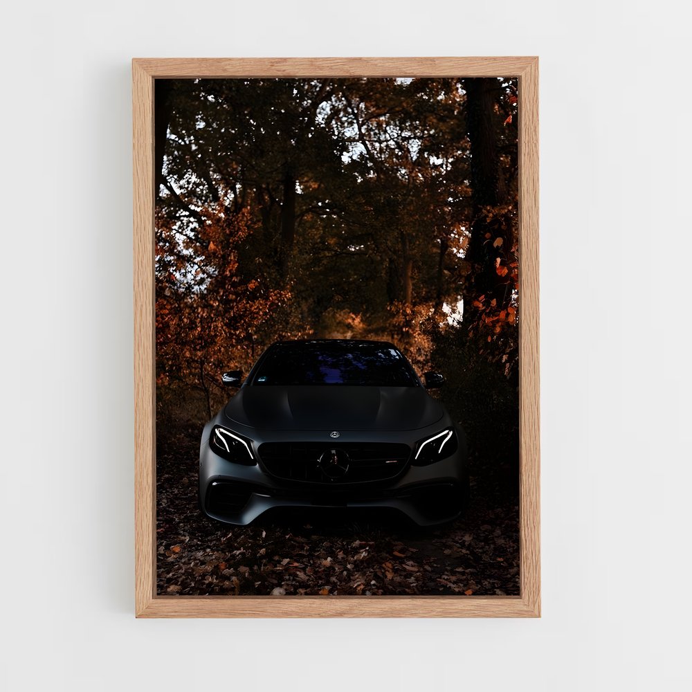 ap-mercedes-7 cadre Bois clair