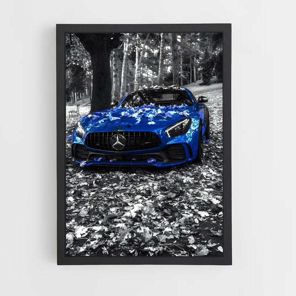 ap-mercedes-8 cadre Noir