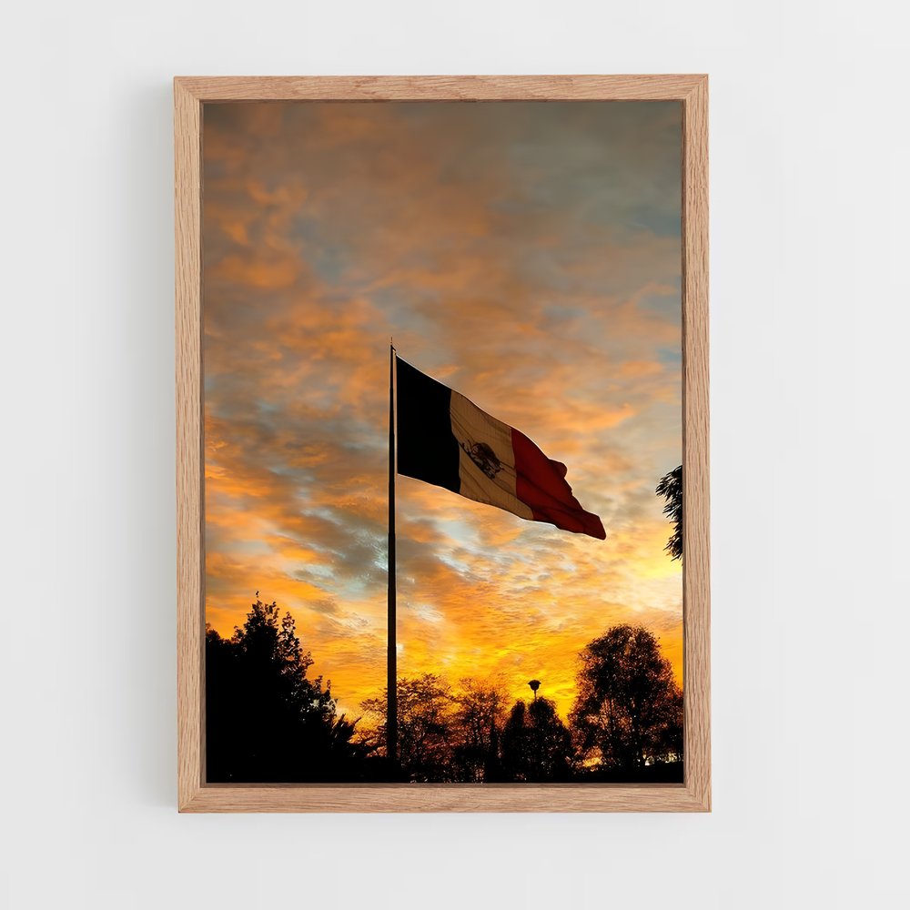 ap-mexico city flag-3 cadre Bois clair
