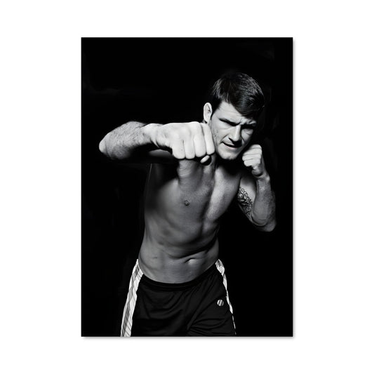 Poster Michael bisping 62366